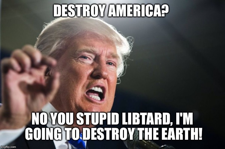 donald trump | DESTROY AMERICA? NO YOU STUPID LIBTARD, I'M GOING TO DESTROY THE EARTH! | image tagged in donald trump | made w/ Imgflip meme maker