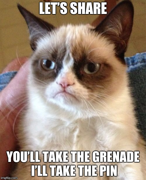 Grumpy Cat Meme |  LET’S SHARE; YOU’LL TAKE THE GRENADE I’LL TAKE THE PIN | image tagged in memes,grumpy cat | made w/ Imgflip meme maker