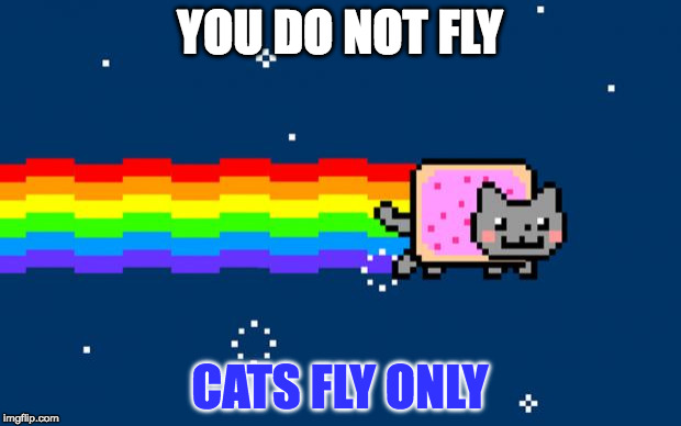 Nyan Cat | YOU DO NOT FLY; CATS FLY ONLY | image tagged in nyan cat | made w/ Imgflip meme maker