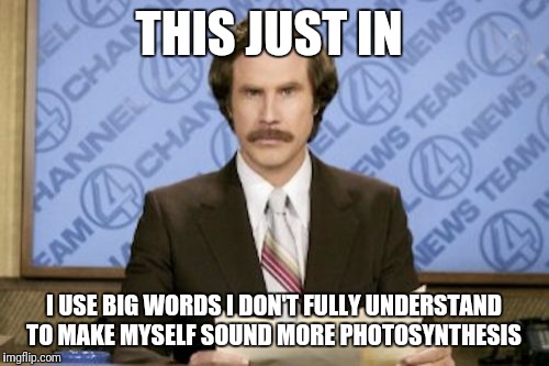 Ron Burgundy | THIS JUST IN; I USE BIG WORDS I DON'T FULLY UNDERSTAND TO MAKE MYSELF SOUND MORE PHOTOSYNTHESIS | image tagged in memes,ron burgundy | made w/ Imgflip meme maker