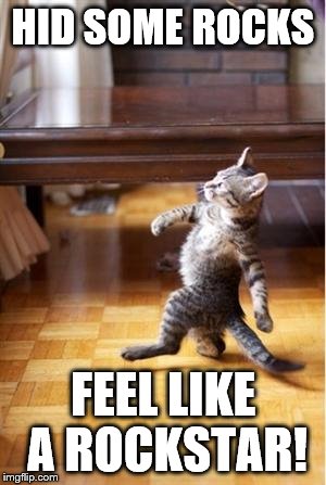 Walking Cat | HID SOME ROCKS; FEEL LIKE A ROCKSTAR! | image tagged in walking cat | made w/ Imgflip meme maker