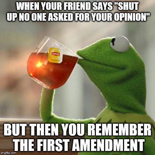 But That's None Of My Business Meme | WHEN YOUR FRIEND SAYS "SHUT UP NO ONE ASKED FOR YOUR OPINION"; BUT THEN YOU REMEMBER THE FIRST AMENDMENT | image tagged in memes,but thats none of my business,kermit the frog | made w/ Imgflip meme maker