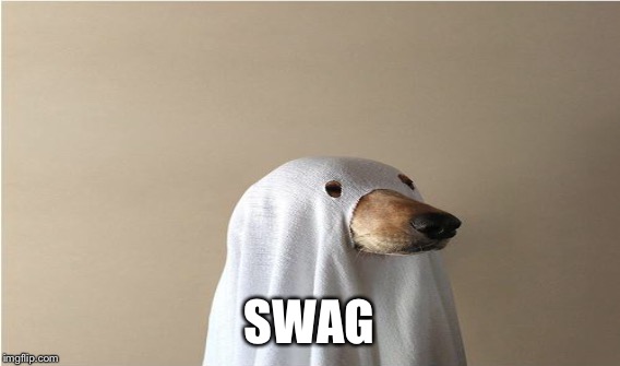 SWAG | made w/ Imgflip meme maker