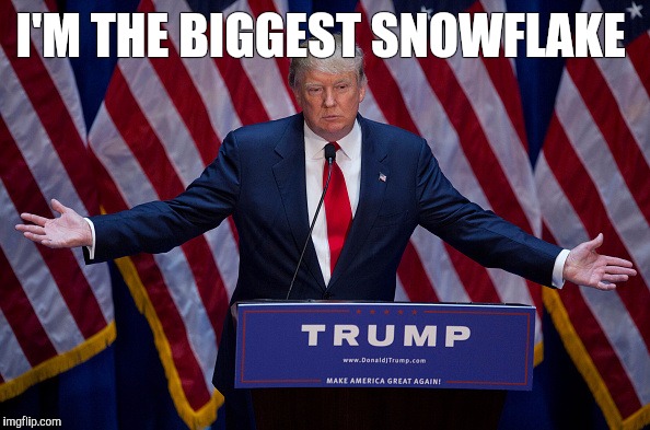 Donald Trump | I'M THE BIGGEST SNOWFLAKE | image tagged in donald trump | made w/ Imgflip meme maker
