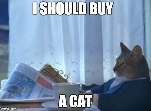 I Should Buy A Boat Cat | I SHOULD BUY; A CAT | image tagged in memes,i should buy a boat cat | made w/ Imgflip meme maker