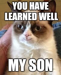 YOU HAVE LEARNED WELL MY SON | made w/ Imgflip meme maker