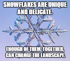 Snowflake | SNOWFLAKES ARE UNIQUE AND DELICATE. ENOUGH OF THEM, TOGETHER, CAN CHANGE THE LANDSCAPE. | image tagged in snowflake | made w/ Imgflip meme maker