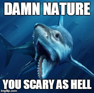 DAMN NATURE; YOU SCARY AS HELL | image tagged in damn nature | made w/ Imgflip meme maker