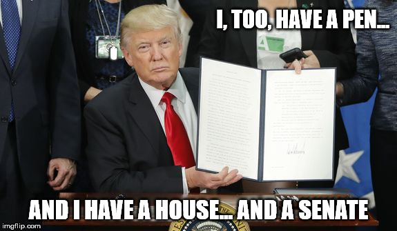 A phone and a pen is nice, but... | I, TOO, HAVE A PEN... AND I HAVE A HOUSE... AND A SENATE | image tagged in trump 2017 | made w/ Imgflip meme maker