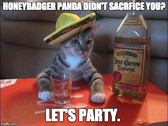 partycat | HONEYBADGER PANDA DIDN'T SACRFICE YOU? LET'S PARTY. | image tagged in partycat | made w/ Imgflip meme maker