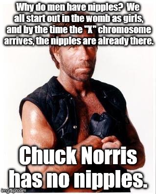 Nipples | Why do men have nipples?  We all start out in the womb as girls, and by the time the "X" chromosome arrives, the nipples are already there. Chuck Norris has no nipples. | image tagged in memes,chuck norris flex,chuck norris | made w/ Imgflip meme maker