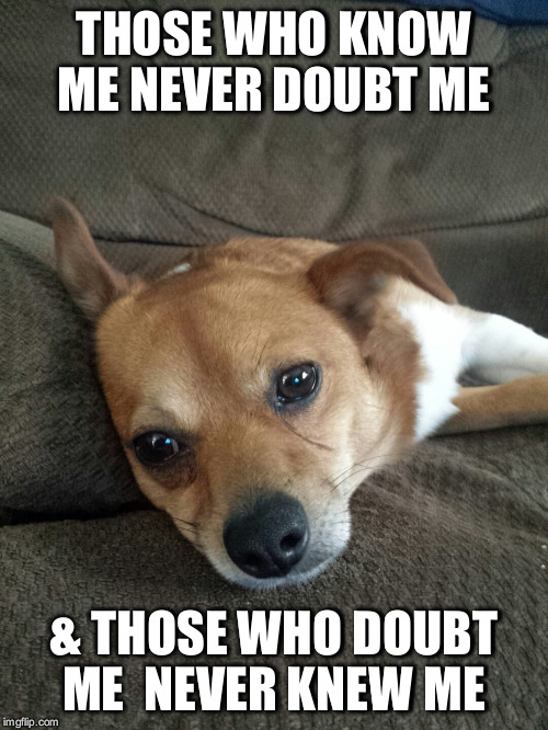 Never Doubt Me | THOSE WHO KNOW ME NEVER DOUBT ME; & THOSE WHO DOUBT ME  NEVER KNEW ME | image tagged in memes,dog,quotes | made w/ Imgflip meme maker