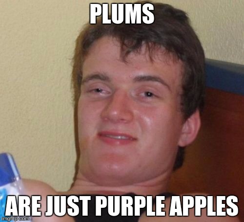10 Guy | PLUMS; ARE JUST PURPLE APPLES | image tagged in memes,10 guy | made w/ Imgflip meme maker