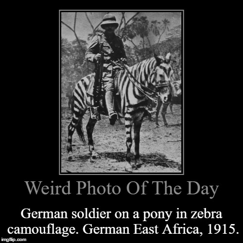 World War I Had A Lot Of Weird Ideas I Tell You... | image tagged in funny,demotivationals,weird,photo of the day,wwi,zebra | made w/ Imgflip demotivational maker