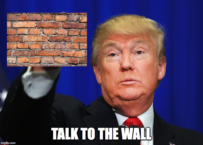TALK TO THE WALL | image tagged in donald trump | made w/ Imgflip meme maker