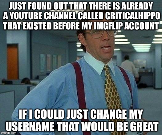 I don't want any confusion  | JUST FOUND OUT THAT THERE IS ALREADY A YOUTUBE CHANNEL CALLED CRITICALHIPPO THAT EXISTED BEFORE MY IMGFLIP ACCOUNT; IF I COULD JUST CHANGE MY USERNAME THAT WOULD BE GREAT | image tagged in memes,that would be great | made w/ Imgflip meme maker