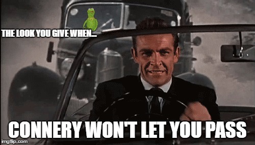Connery vs Kermit | THE LOOK YOU GIVE WHEN... CONNERY WON'T LET YOU PASS | image tagged in connery vs kermit | made w/ Imgflip meme maker