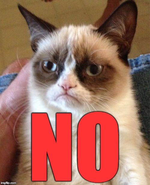 Grumpy Cat Meme | NO | image tagged in memes,grumpy cat | made w/ Imgflip meme maker