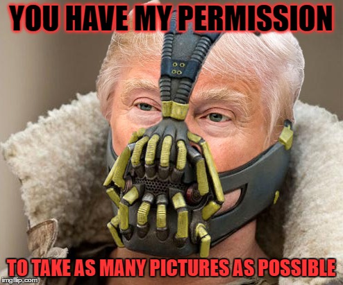 YOU HAVE MY PERMISSION TO TAKE AS MANY PICTURES AS POSSIBLE | made w/ Imgflip meme maker