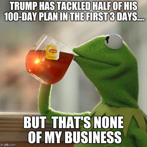 But That's None Of My Business Meme | TRUMP HAS TACKLED HALF OF HIS 100-DAY PLAN IN THE FIRST 3 DAYS.... BUT  THAT'S NONE OF MY BUSINESS | image tagged in memes,but thats none of my business,kermit the frog | made w/ Imgflip meme maker