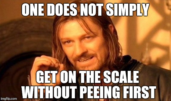One Does Not Simply Meme | ONE DOES NOT SIMPLY; GET ON THE SCALE WITHOUT PEEING FIRST | image tagged in memes,one does not simply | made w/ Imgflip meme maker