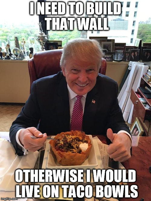 They're So Delicious |  I NEED TO BUILD THAT WALL; OTHERWISE I WOULD LIVE ON TACO BOWLS | image tagged in trump taco bowl | made w/ Imgflip meme maker