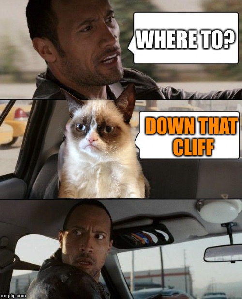 The Rock Driving | WHERE TO? DOWN THAT CLIFF | image tagged in memes,the rock driving,grumpy cat | made w/ Imgflip meme maker