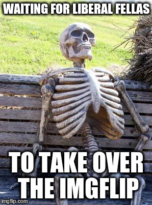 Waiting Skeleton Meme | WAITING FOR LIBERAL FELLAS; TO TAKE OVER THE IMGFLIP | image tagged in memes,waiting skeleton | made w/ Imgflip meme maker