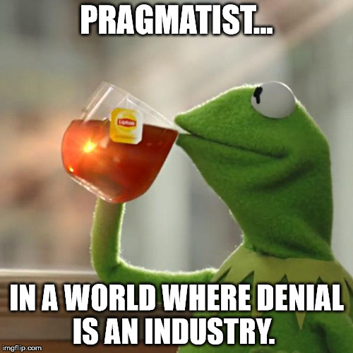 But That's None Of My Business Meme | PRAGMATIST... IN A WORLD WHERE DENIAL IS AN INDUSTRY. | image tagged in memes,but thats none of my business,kermit the frog | made w/ Imgflip meme maker