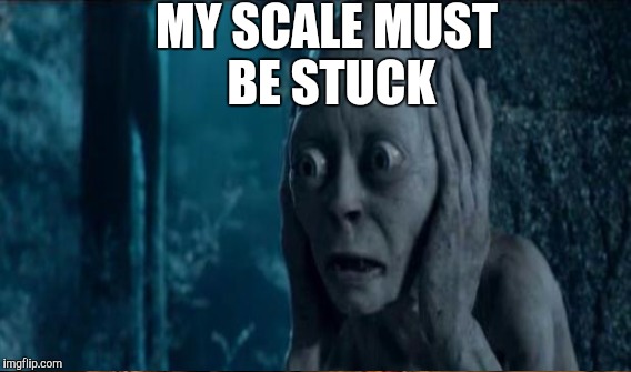 MY SCALE MUST BE STUCK | made w/ Imgflip meme maker