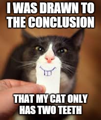 I WAS DRAWN TO THE CONCLUSION THAT MY CAT ONLY HAS TWO TEETH | made w/ Imgflip meme maker