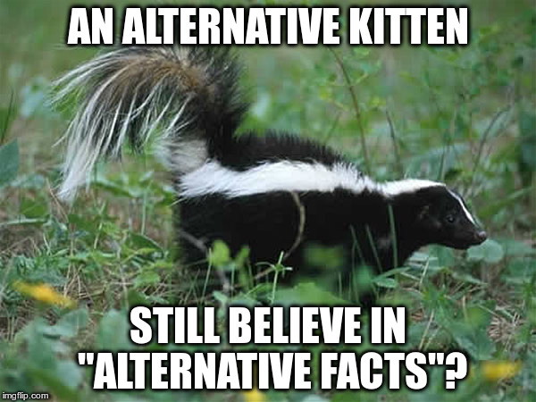 Alternative Kitten | AN ALTERNATIVE KITTEN; STILL BELIEVE IN "ALTERNATIVE FACTS"? | image tagged in trump,liar,alternative facts,kellyanne conway,fascist,nazi's | made w/ Imgflip meme maker