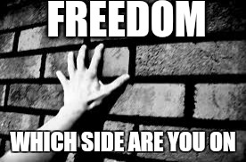 One planet. One race | FREEDOM; WHICH SIDE ARE YOU ON | image tagged in memes,wall,trump,mexico,freedom | made w/ Imgflip meme maker