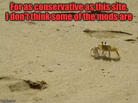 Little Acknowledged Fact Crab | For as conservative as this site, I don't think some of the mods are | image tagged in little acknowledged fact crab | made w/ Imgflip meme maker