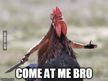 Come at me chicken | COME AT ME BRO | image tagged in come at me chicken | made w/ Imgflip meme maker