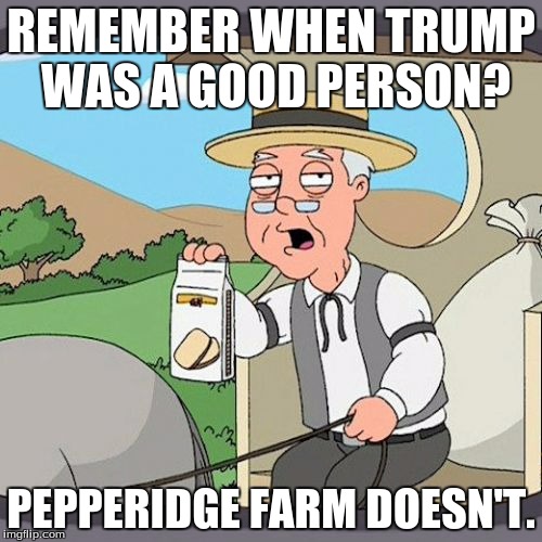 Pepperidge Farm Remembers Meme | REMEMBER WHEN TRUMP WAS A GOOD PERSON? PEPPERIDGE FARM DOESN'T. | image tagged in memes,pepperidge farm remembers | made w/ Imgflip meme maker
