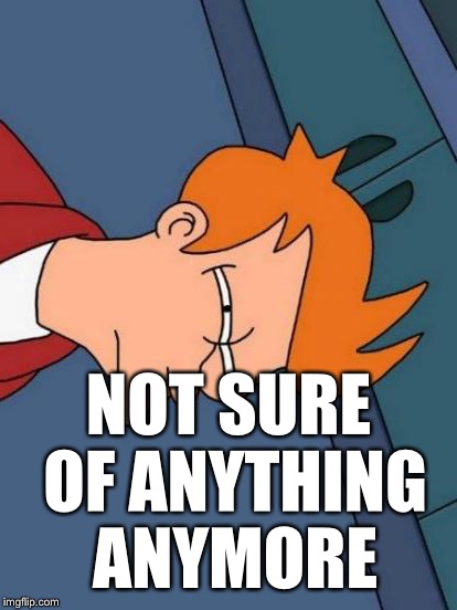 Futurama Fry Meme | NOT SURE OF ANYTHING ANYMORE | image tagged in memes,futurama fry | made w/ Imgflip meme maker