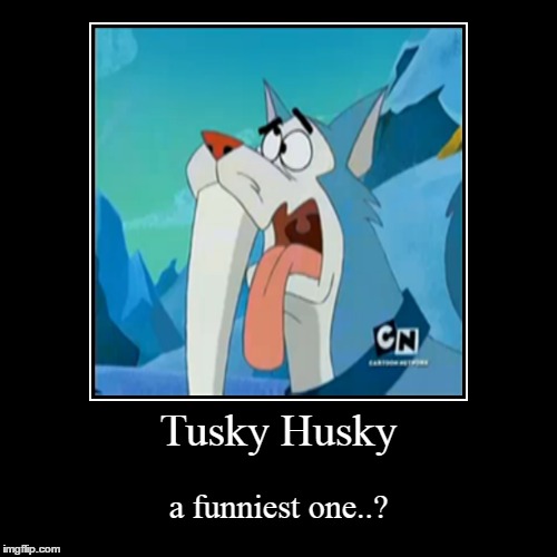 image tagged in funny,tusky husky | made w/ Imgflip demotivational maker