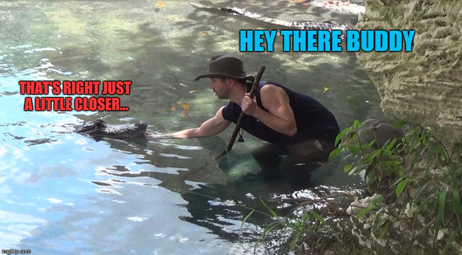Lesson one in alligator country: Never go near the water's edge with an alligator in the water | HEY THERE BUDDY; THAT'S RIGHT JUST A LITTLE CLOSER... | image tagged in gatorstare,never,don't try this at home | made w/ Imgflip meme maker