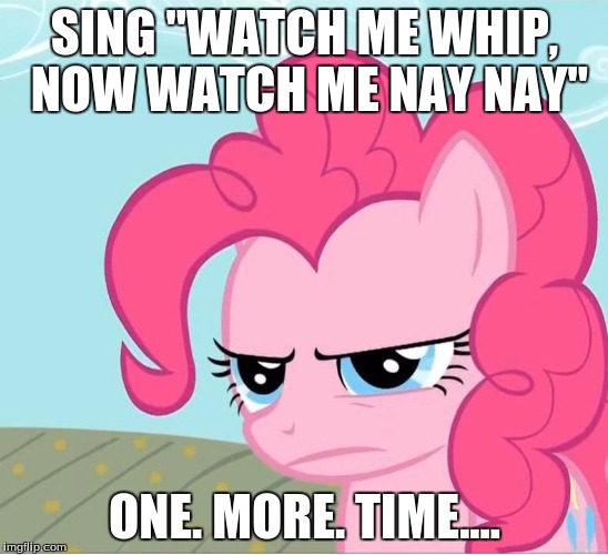 pinkie pie does not approve | SING "WATCH ME WHIP, NOW WATCH ME NAY NAY"; ONE. MORE. TIME.... | image tagged in pinkie pie stare,watch me whip,watch me neigh neigh | made w/ Imgflip meme maker