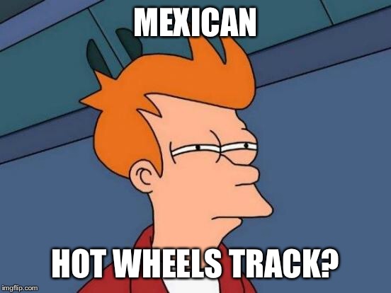 Futurama Fry Meme | MEXICAN HOT WHEELS TRACK? | image tagged in memes,futurama fry | made w/ Imgflip meme maker