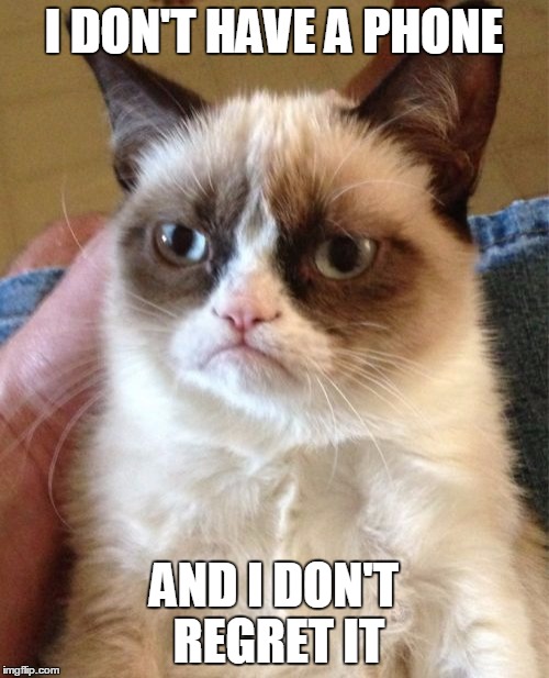 Grumpy Cat Meme | I DON'T HAVE A PHONE AND I DON'T REGRET IT | image tagged in memes,grumpy cat | made w/ Imgflip meme maker