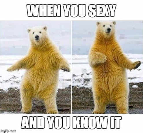 February 27 was International Polar Bear Day. Never heard of it | WHEN YOU SEXY; AND YOU KNOW IT | image tagged in polar bear,sexy | made w/ Imgflip meme maker