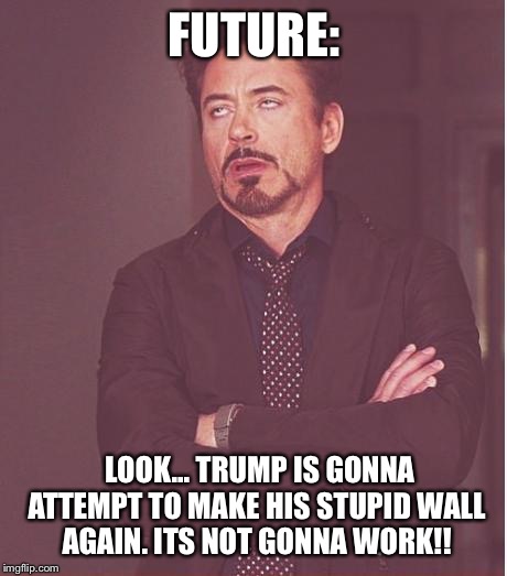 Face You Make Robert Downey Jr Meme | FUTURE:; LOOK... TRUMP IS GONNA ATTEMPT TO MAKE HIS STUPID WALL AGAIN. ITS NOT GONNA WORK!! | image tagged in memes,face you make robert downey jr | made w/ Imgflip meme maker