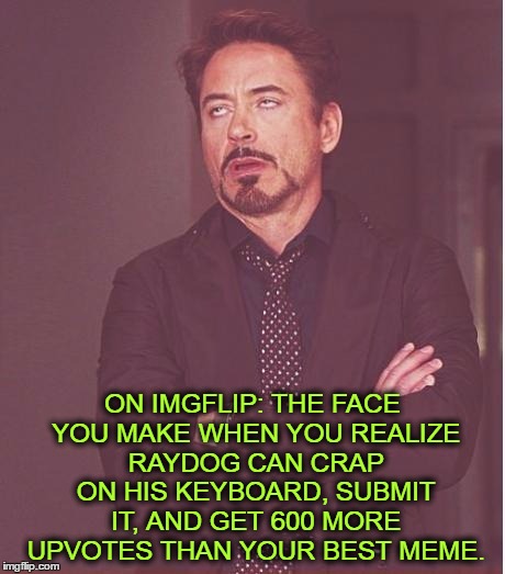 Face You Make Robert Downey Jr Meme | ON IMGFLIP: THE FACE YOU MAKE WHEN YOU REALIZE RAYDOG CAN CRAP ON HIS KEYBOARD, SUBMIT IT, AND GET 600 MORE UPVOTES THAN YOUR BEST MEME. | image tagged in memes,face you make robert downey jr | made w/ Imgflip meme maker