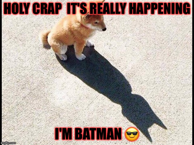 Batman memes | HOLY CRAP  IT'S REALLY HAPPENING; I'M BATMAN 😎 | image tagged in hahaha | made w/ Imgflip meme maker