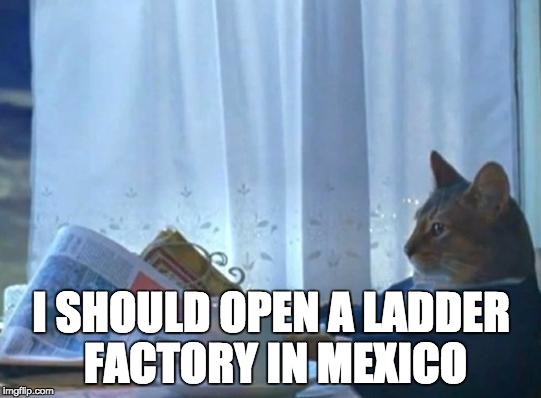 Cat newspaper | I SHOULD OPEN A LADDER FACTORY IN MEXICO | image tagged in cat newspaper | made w/ Imgflip meme maker