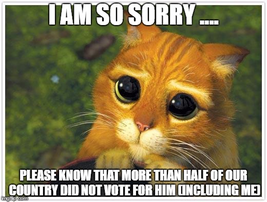 Shrek Cat Meme | I AM SO SORRY .... PLEASE KNOW THAT MORE THAN HALF OF OUR COUNTRY DID NOT VOTE FOR HIM (INCLUDING ME) | image tagged in memes,shrek cat | made w/ Imgflip meme maker