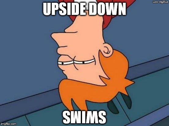 UPSIDE DOWN | made w/ Imgflip meme maker