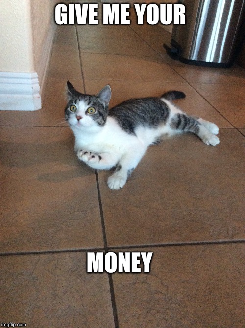 GIVE ME YOUR; MONEY | image tagged in memes | made w/ Imgflip meme maker